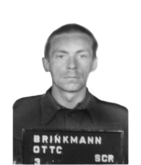 Otto Brinkmann - Head/Body